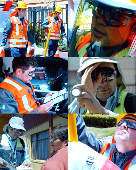 Equipo de MLA Servicios en terreno